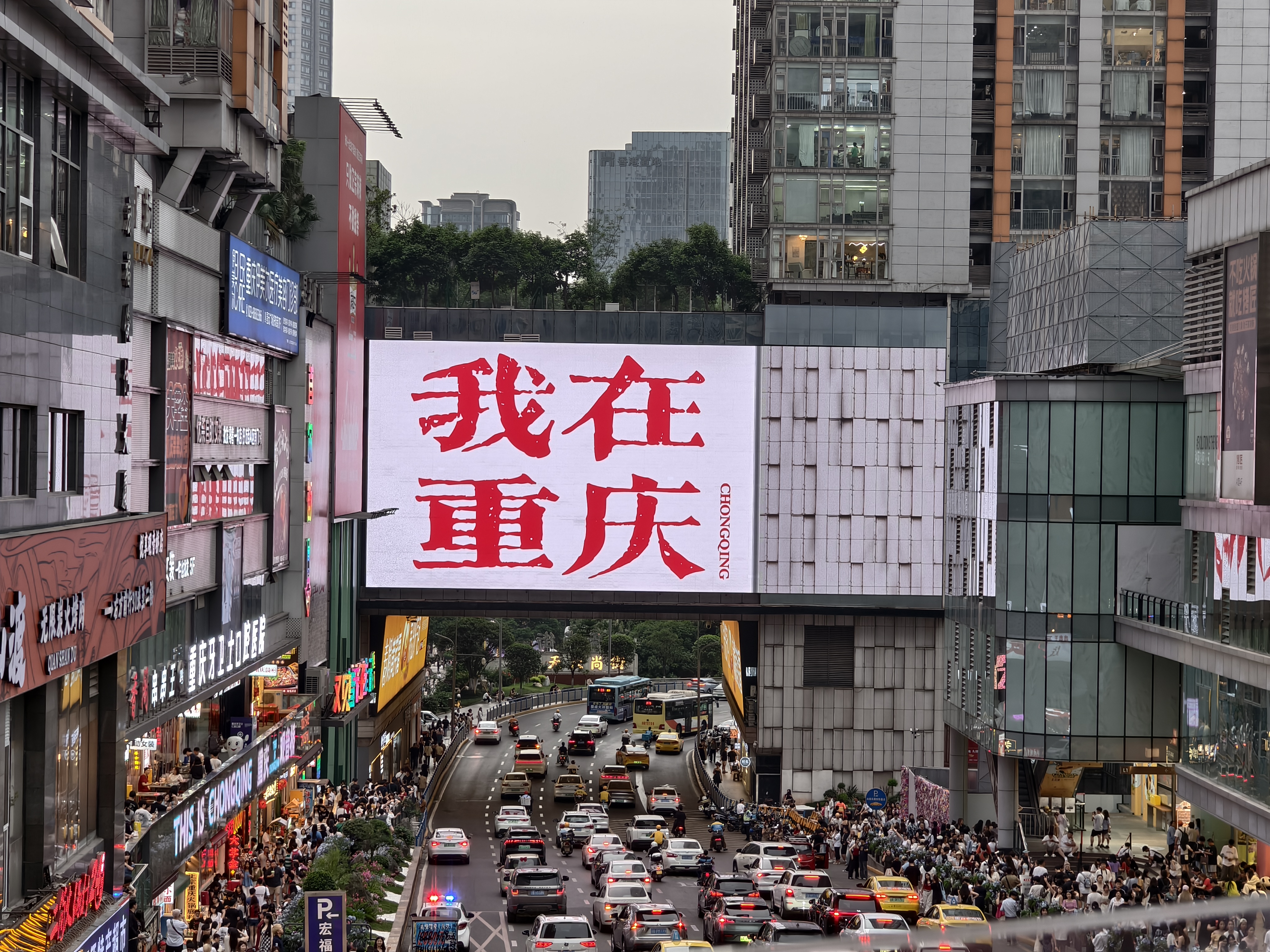https://static.scung.cn/63cde377-0904-4b3a-b24d-e1cc8a3313c5.JPG